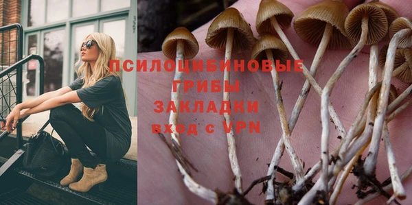 Альфа ПВП Снежинск