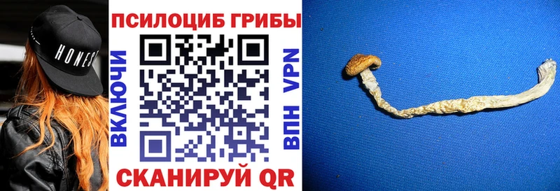 наркошоп  Старая Русса  Псилоцибиновые грибы MAGIC MUSHROOMS 
