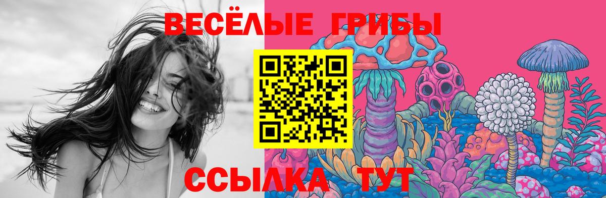 Галлюциногенные грибы прущие грибы  Вход с VPN  Старая Русса 