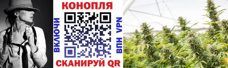 Бошки марихуана OG Kush  МЕГА ССЫЛКА  Старая Русса  цены наркотик 
